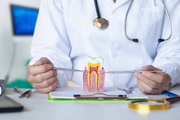 Best Emergency Wisdom Tooth Extraction in Lyons, CO